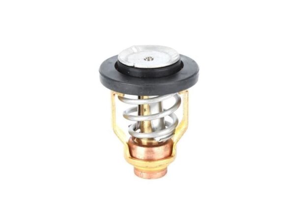 6EK-12411-00 – ORIGINAL YAMAHA THERMOSTAT FOR F115B, F130A